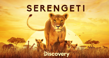 Serengeti on Discovery Channel
