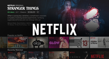 Netflix streaming services